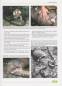 Preview: Taxonomy, Life History and Conservation of Giant Reptiles in West Kalimantan